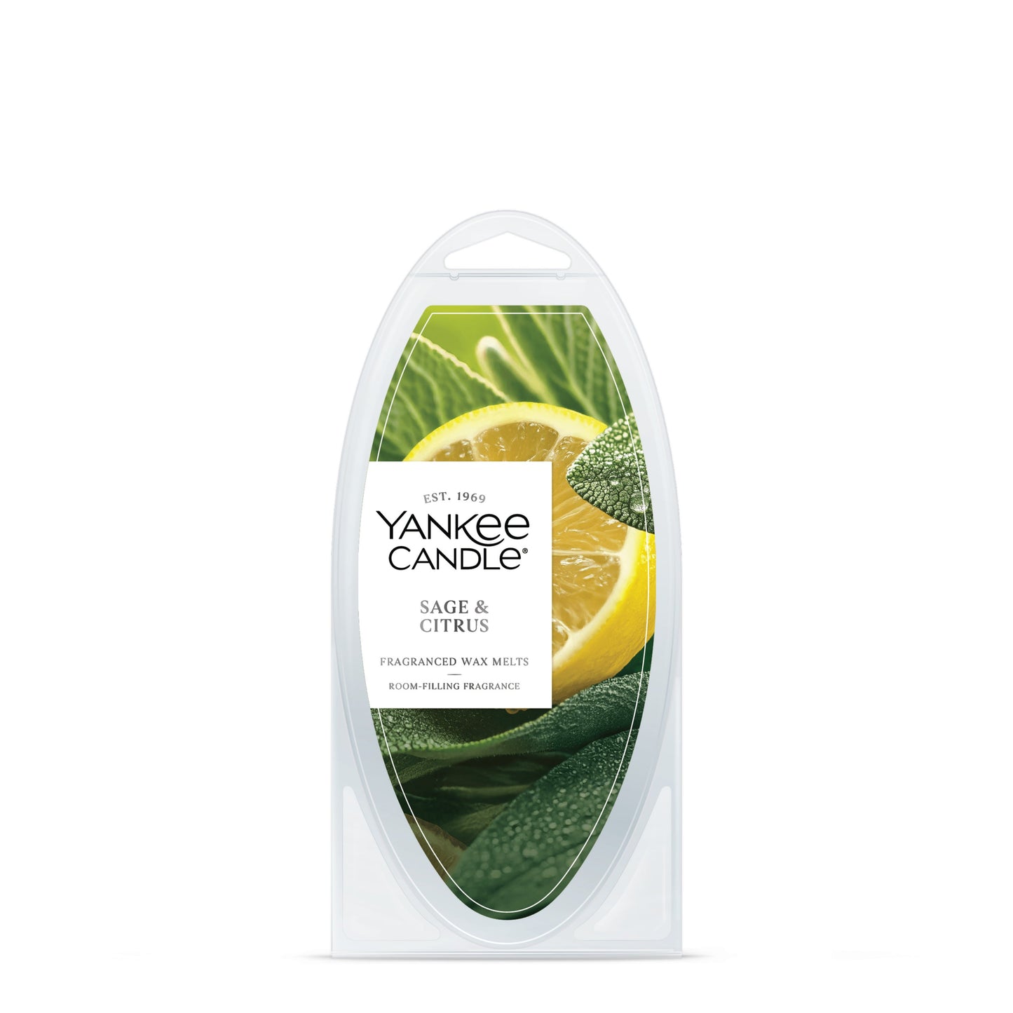Sage & Citrus Studio 1-0875